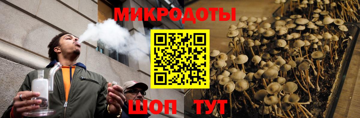 Псилоцибиновые грибы мухоморы Нурлат
